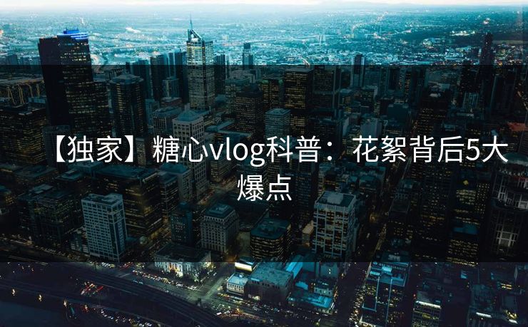 【独家】糖心vlog科普：花絮背后5大爆点